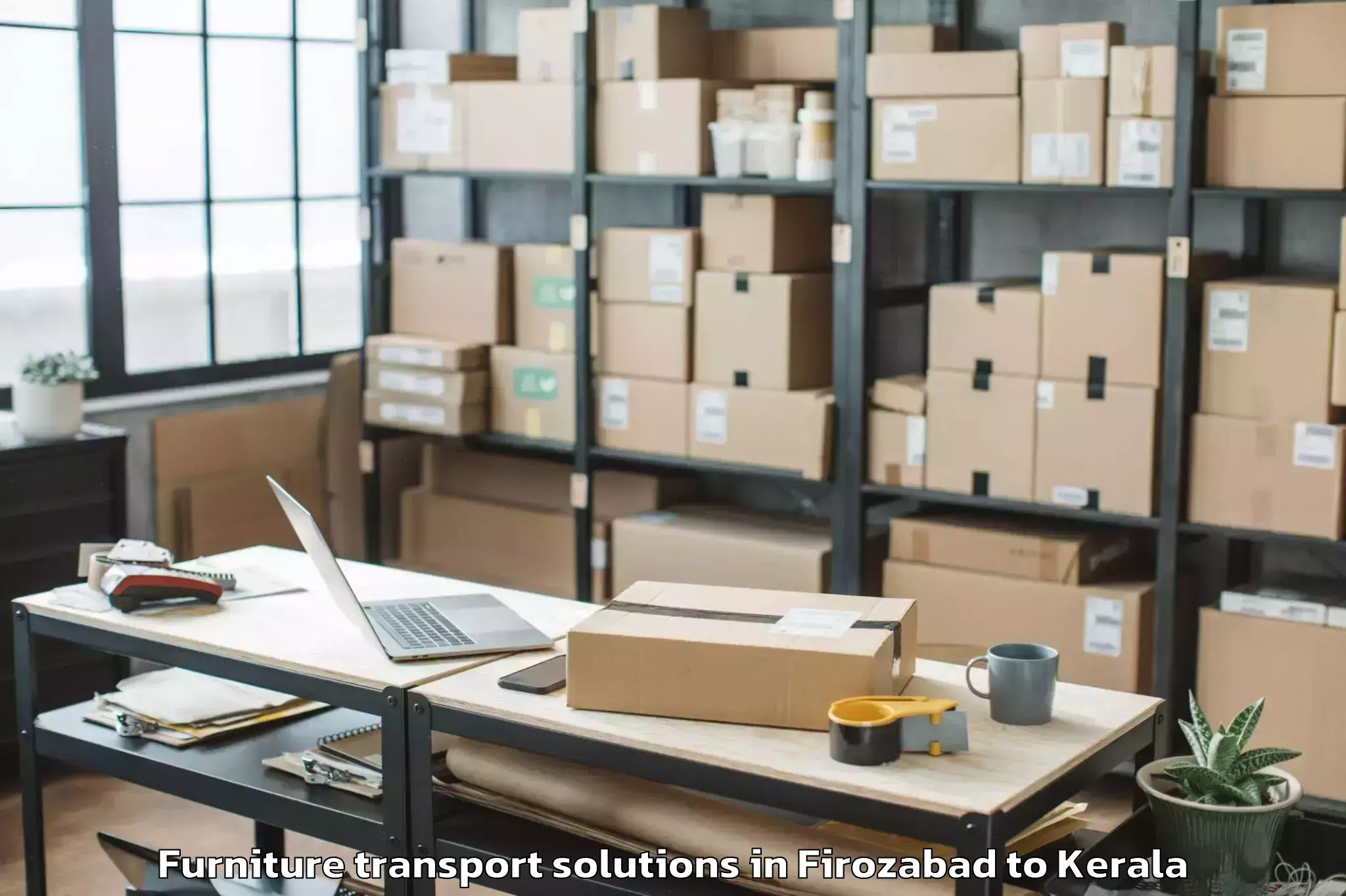 Expert Firozabad to Kumbalam Furniture Transport Solutions